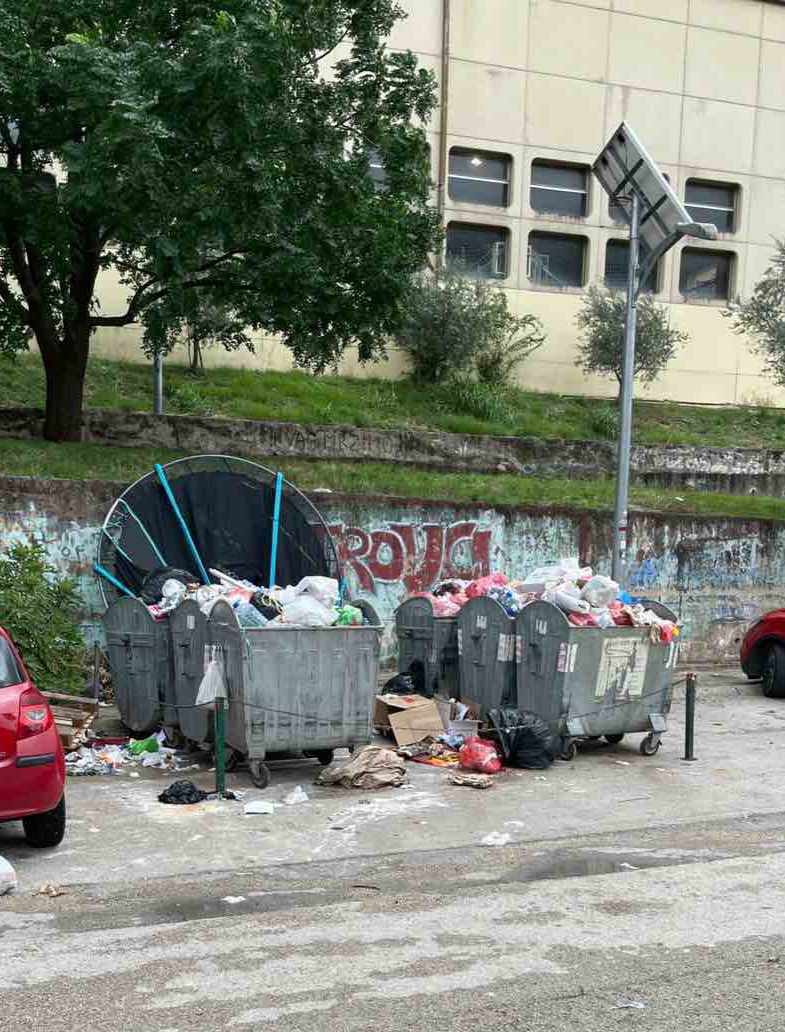 Foto: Demokratska partija socijalista