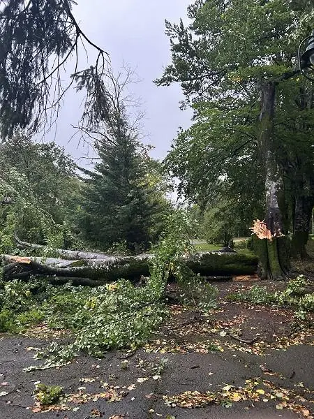 Nevrijeme na Cetinju/ Foto: Prijestonica